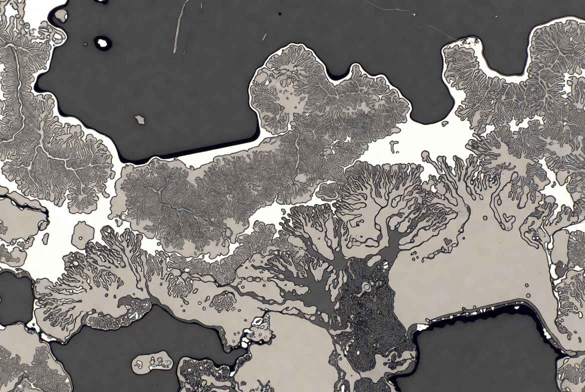 AgNi silver nickel contacts vs other alloys comparison 2026