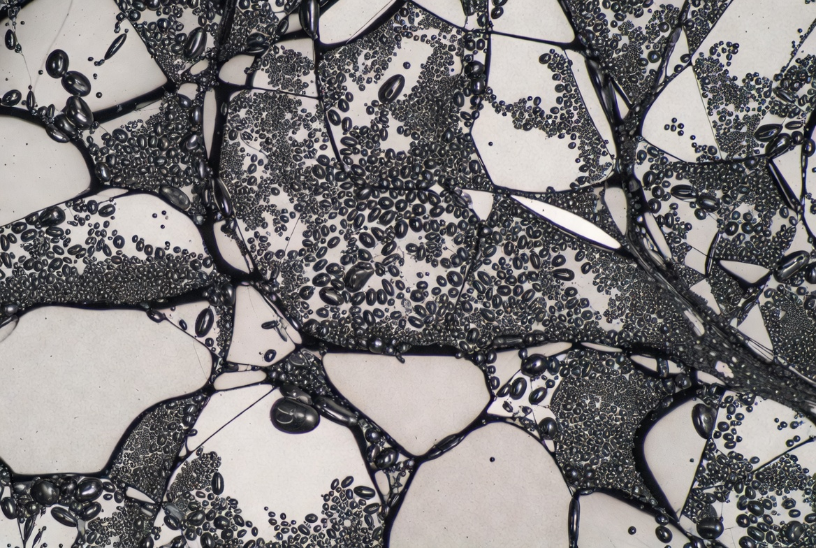 AgSnO2 Metallurgical Structure