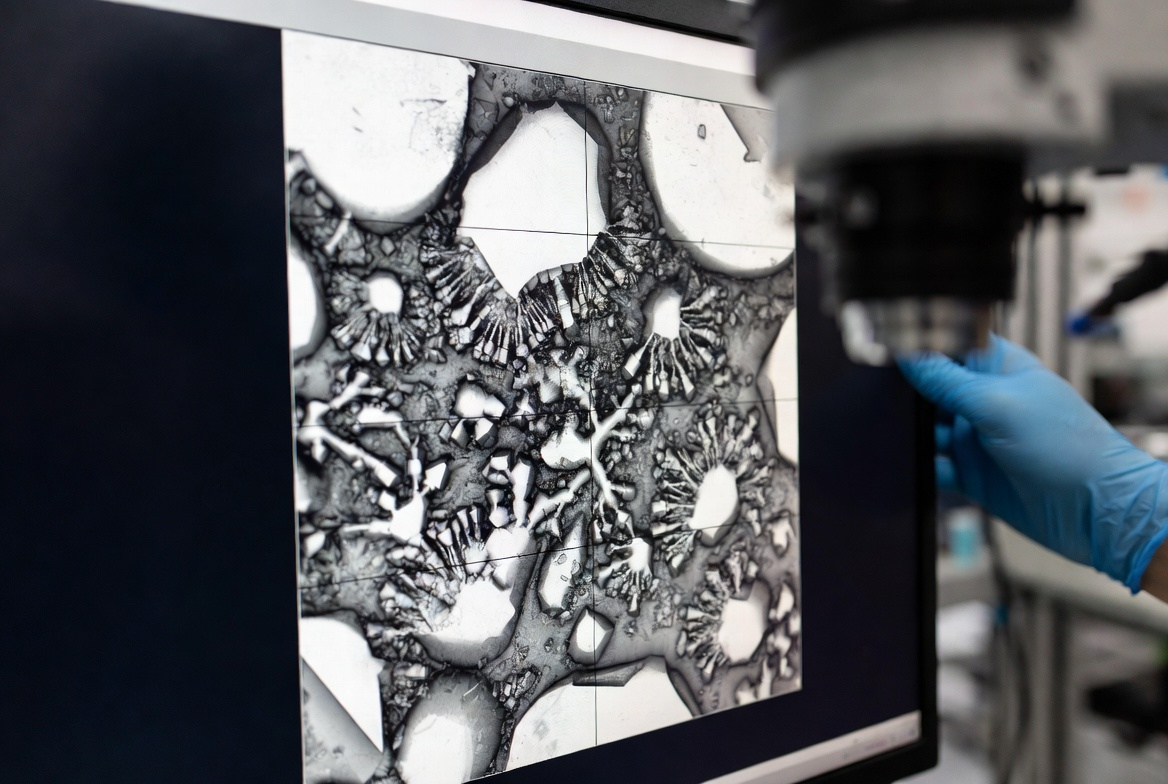 AgNi SEM Microstructure Analysis
